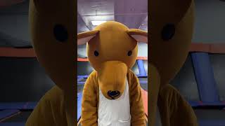 Haters will say this is edited #skyzone #skyzonecovina #trampolinepark #covina #covinaca