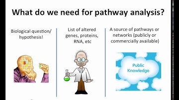 Pathway and Network Analysis