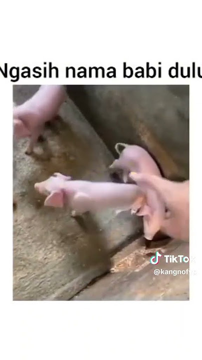 hahaha ada nama gua Amel🗿