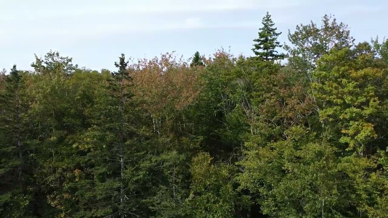 Lot Hectanooga Rd Briar Lake