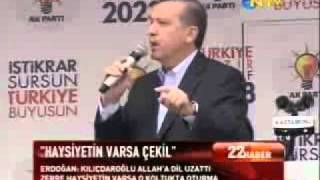 20110504_221600_13.flv