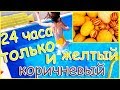 24 ЧАСА ем только ЖЕЛТУЮ и КОРИЧНЕВУЮ ЕДУ / ЖЕЛТАЯ VS КОРИЧНЕВАЯ / 24 HOURS CHALLENGE