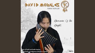 Video thumbnail of "David Morales Sk - Sanjuanito De La Alegria"