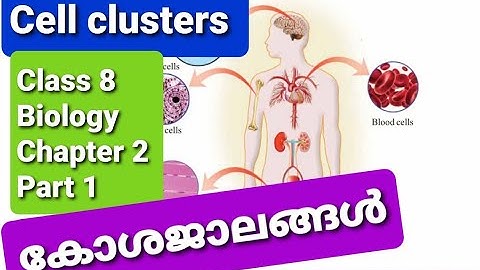 KERALA SYLLABUS CLASS 8 BIOLOGY CHAPTER 2 CELLS CLUSTERS/ കോശജാലങ്ങൾ  PART 1