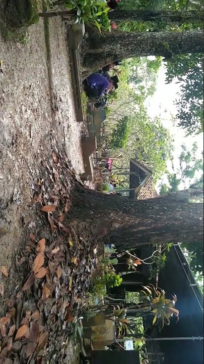 Ngalap Barokah Pendiri PP ELL-FIRDAUS TAMBAKSARI