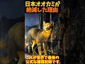 【ゆっくり解説】 日本オオカミが絶滅した理由