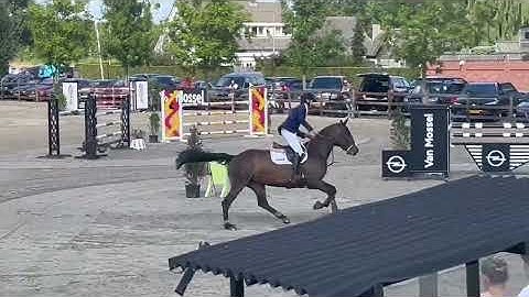 251114c  THEUWI winning qualification 6y old for World Championchip