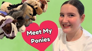 Download Lagu MY LEMIEUX TOY PONY COLLECTION UPDATE MP3 Download Lagu MY LEMIEUX TOY PONY COLLECTION UPDATE MP3