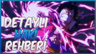 Detaylı Haki Rehberi | One Piece Bilgi | One Piece Türkçe Teori Resimi