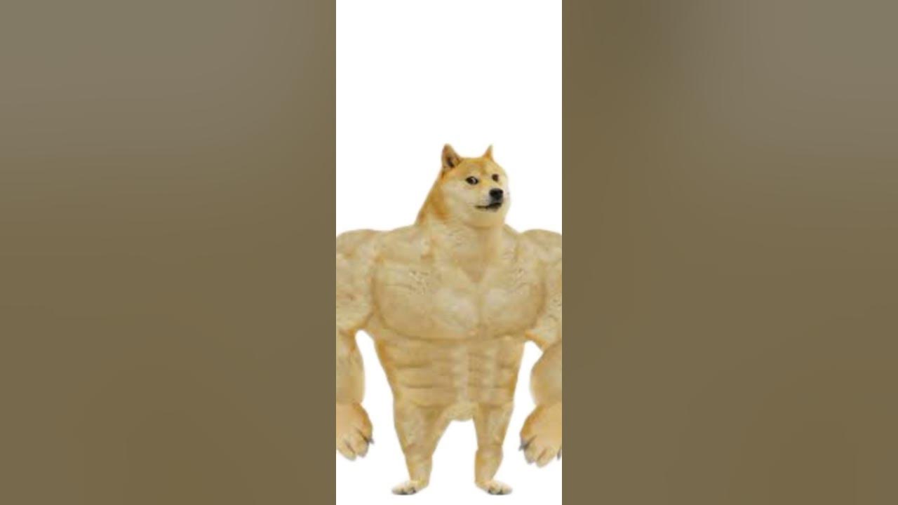 giga chad vs Doge musculoso - YouTube