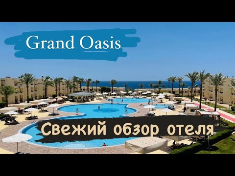 Свежий обзор отеля Grand Oasis в Шарм Эль Шейх. Экскурсии в Шарм Эль Шейх