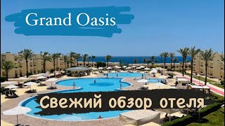Свежий обзор отеля Grand Oasis в Шарм Эль Шейх Экскурсии в Шарм Эль Шейх