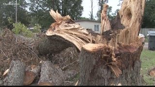 Crisp County still recovering from Michael