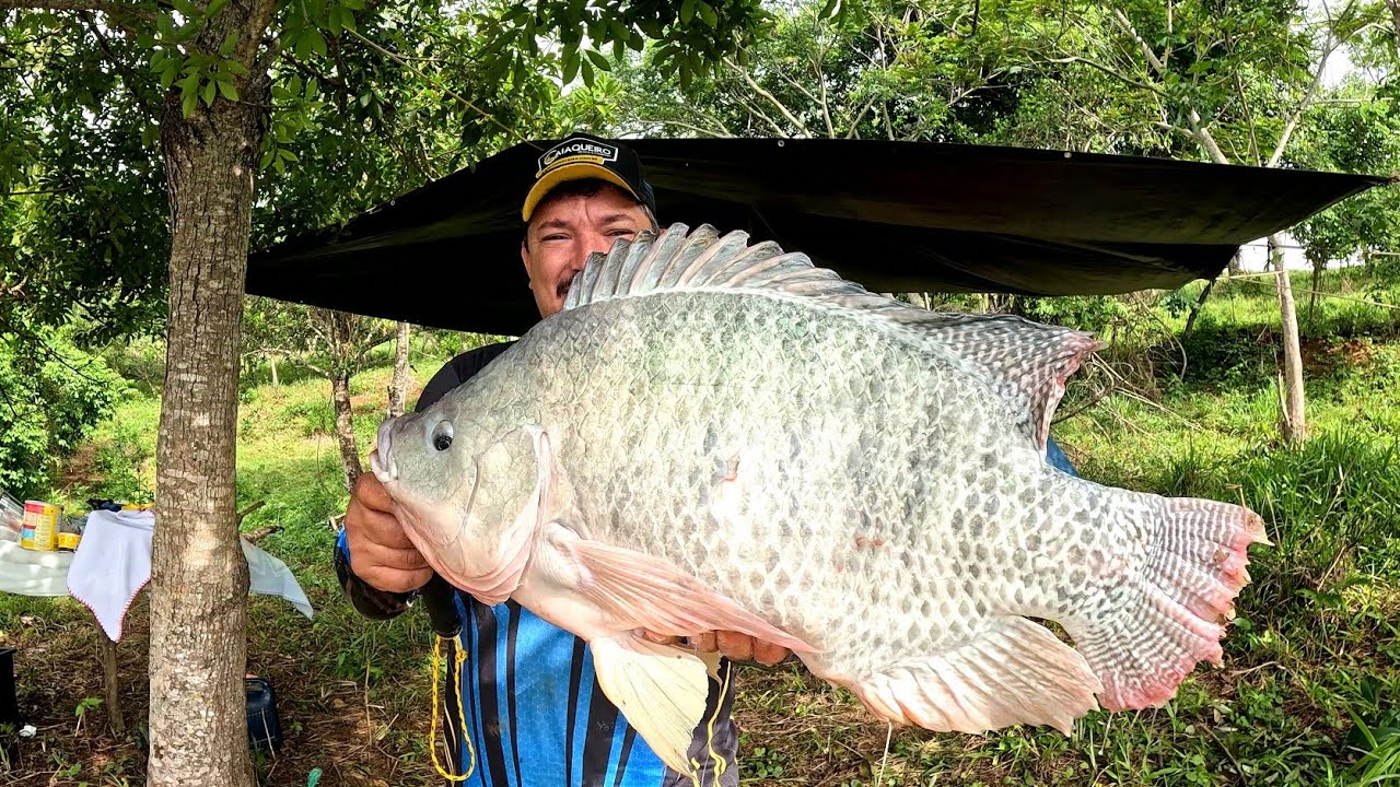 Sabe aquele dia que as pernas tremem e o coração despara, Aconteceu tudo nesta pescaria de Tilápias!