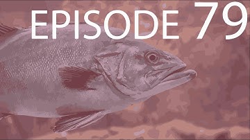 Episode 79 - Animal Form & Function