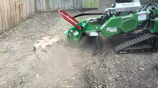 Bandit SG-40 removing stumps - RAW vision by Tree Care Machinery - Bandit, Hansa, Cast Loaders 1,068 views 5 months ago 57 seconds