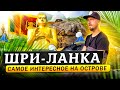 Шри-Ланка: самое интересное на острове