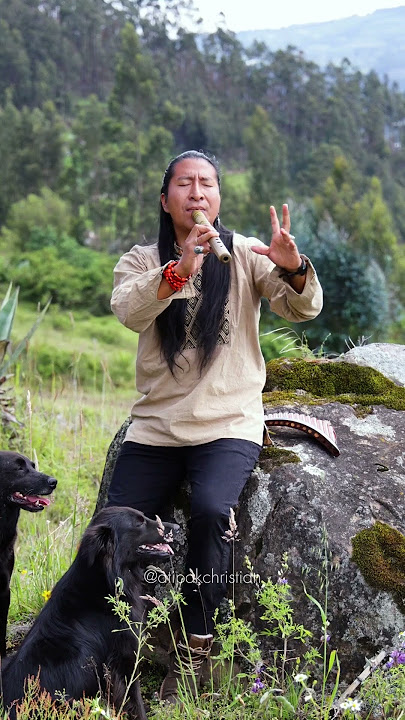 The Song Of Ocarina - Pan Flute | Cover by Atipak Christian #panflute #andeanmusic #quenacho