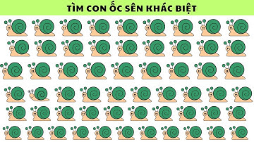 Tìm Điểm Khác Biệt  | Rất ít bé trả lời được tất cả các câu đố |Nguyễn Thị Lan Anh
