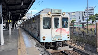 近鉄2410系 W23編成｢伊勢志摩お魚図鑑｣+1259系 VC68編成｢とばしまメモリー 海の章｣ 五位堂送り込み回送