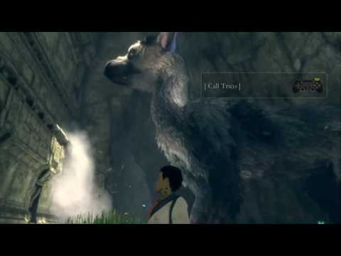 The Last Guardian
