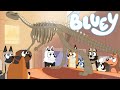 Bluey fan animated short 1  museum