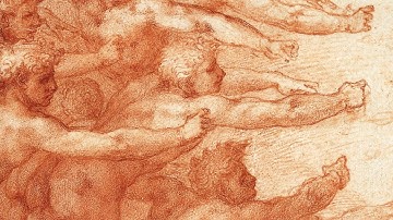 Anatomy of the Arm - Anatomy Master Class