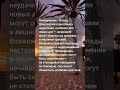 АстроПрогноз на 19 мая 2025 года.