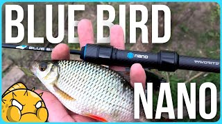 Мормишинг  Blue Bird NANO | Перший погляд