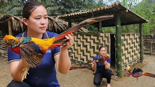 Building Bamboo House For Pheasant - Process From Start To Finish - Lý Thị Ca