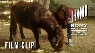 ADVENTURES OF DALLY AND SPANKY Clip - "Teaching Tricks" on DVD & Digital 9/10