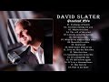 David Slater Greatest Hits - The Best Songs Of David Slater