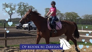 Tessa rijdt op Tessa * Hart voor Paarden & Zaressa *