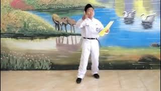 JUARA 1 BACA PUISI AKU MELIHAT INDONESIA