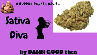 Damn Good Sativa Diva Legal Thca Flower Review