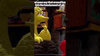 Playing Sesame Street Part 1