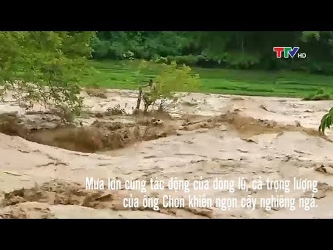 Video Thanh Hóa: Thót tim giải cứu người đàn ông mắc kẹt... - youtube