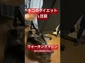 猫のダイエット方法
