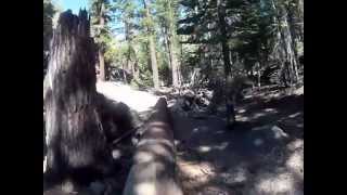 Mammoth Mountain Bike Park Fail