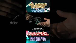 WLFI 代币突遭质疑,投资者信心受挫