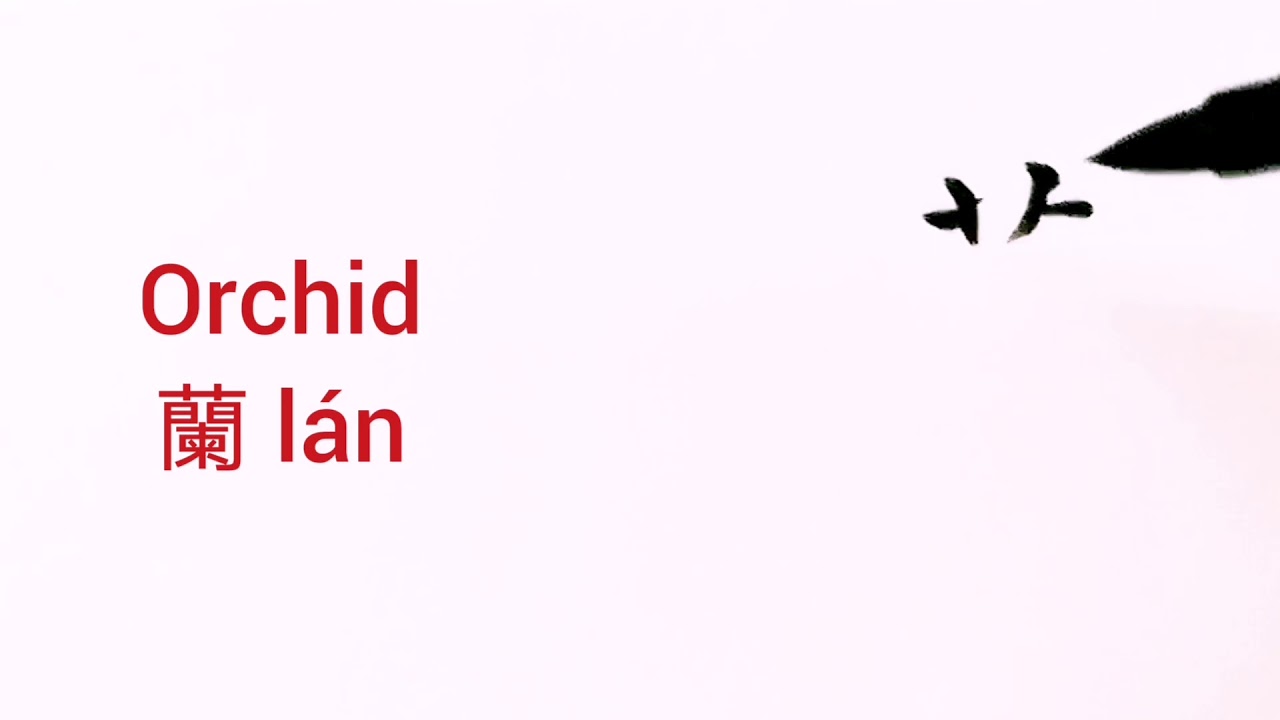 How to say and write ORCHID in Chinese (蘭 lán) - YouTube
