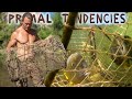 Primitive fish trap success season 2 episode 1