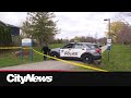 Man killed in North York park shooting