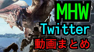 Twitter 面白 動画