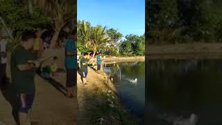 Strike Siakap Cendoi Kuala Kedah