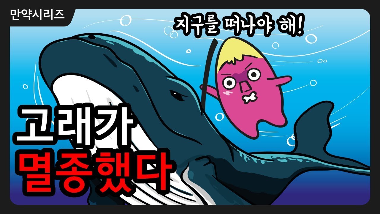 ? 만약 고래가 멸종한다면 무슨 일이 일어날까?  I  고래 멸종은 이제는 현실입니다