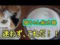 ＃アクアメビウス　その猫のお水、大丈夫？【自動給水器】アクアメビウス
