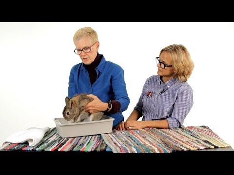 Video: 3 Ways to Clean Rabbit Ears