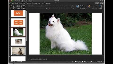 [의료데이터로 하는 데이터분석 (Kaggle)]당뇨병 예측 7 - Training Test 데이터