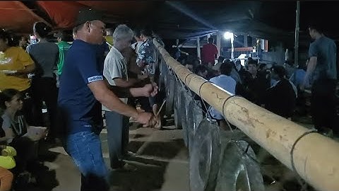 Đêm xoang Cồng chiêng Tây Nguyên Bôn Rưng Ama Nin rất hay và độc đáo @daingan89